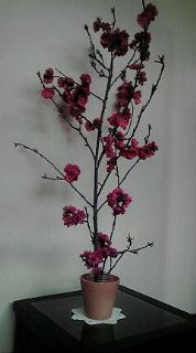20100506123846.jpg