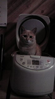 20100508213959.jpg