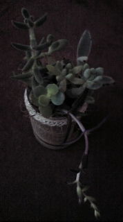 20100716161932.jpg