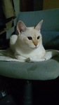 DSC_0081.jpg