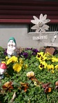 DSC_0113.jpg